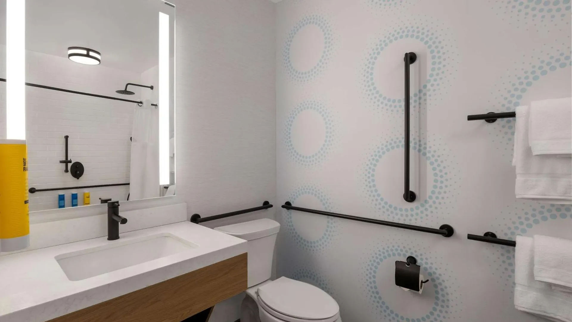 ***  Hotel Tru By Hilton Brooklyn New York USA